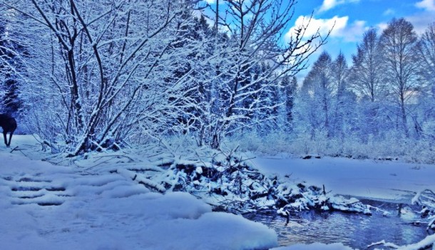 Winter in Cumberland’s Coal Creek Historic Park