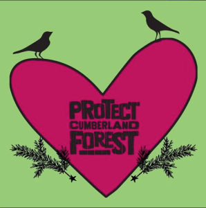 Protect Cumberland Forest | Currently Cumberland