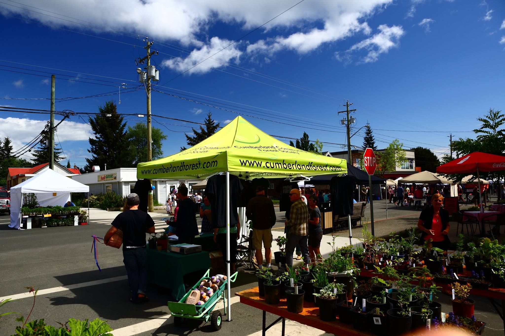 Earth Day Plant Sale For The Cumberland Forest Saturday April 23rd earth-day-plant-sale-for-the-cumberland-forest-saturday-april-23rd